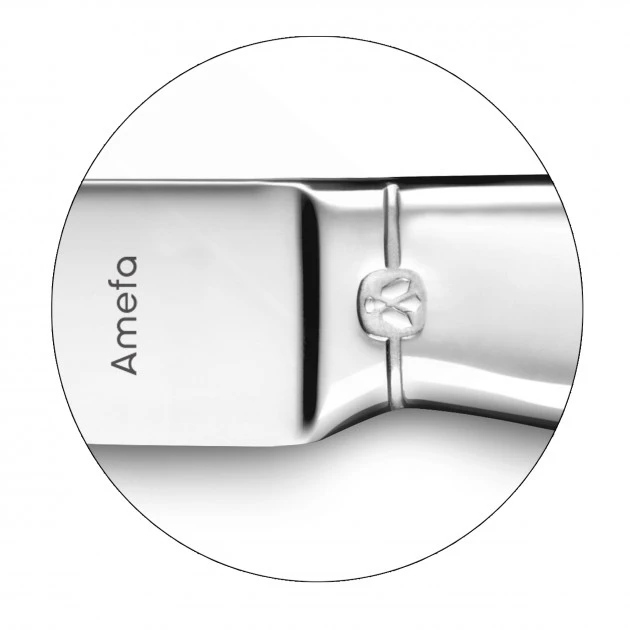 Coffret 6 Couteaux Steak Goliath 22 Cm Amefa – Image 2