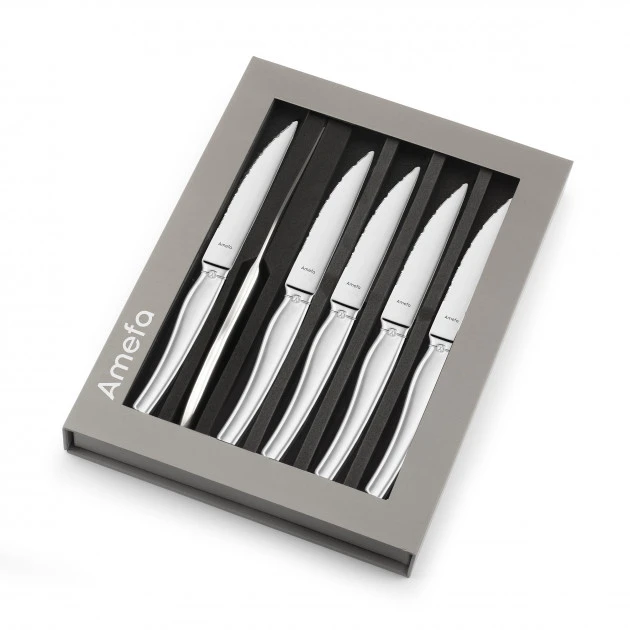 Coffret 6 Couteaux Steak Goliath 22 Cm Amefa – Image 3