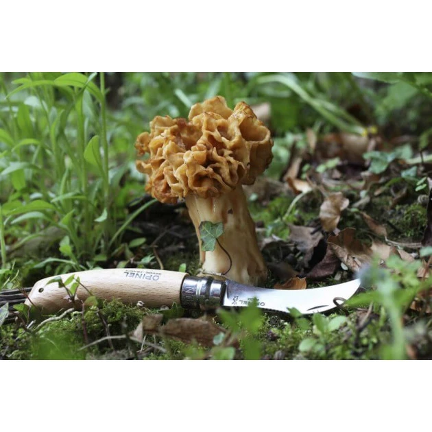 Couteau à Champignon N°8 Opinel – Image 3