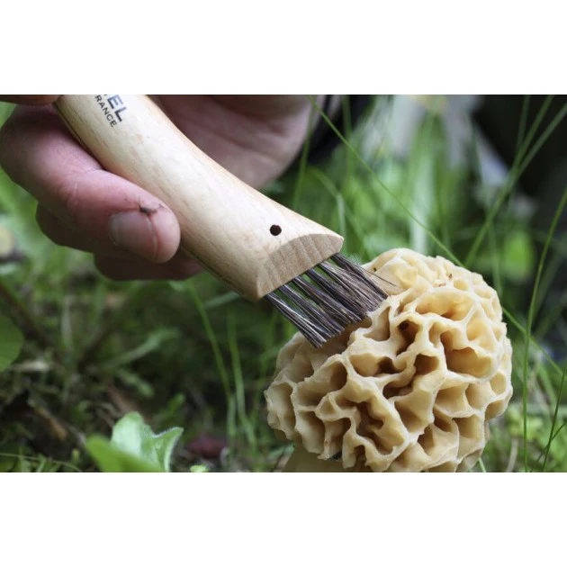 Couteau à Champignon N°8 Opinel – Image 4