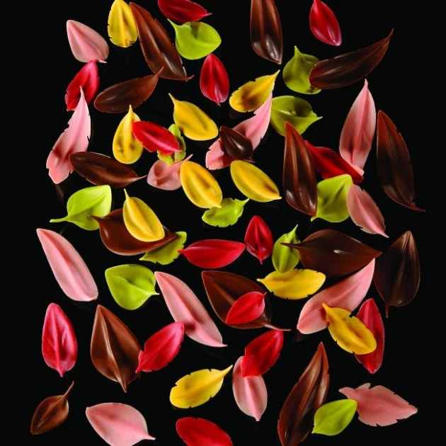 Couteau Inox Plume 8 X 2,3 Cm Flychoc Pavoni – Image 2