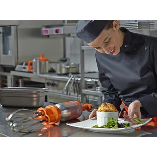 Mixeur Plongeant + Batteur Senior Combi 300 Dynamic – Image 2