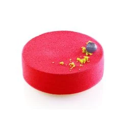 Moule Silicone 15 Ronds Ø10,5 X H4 Cm 341ml SilikoMart Professional