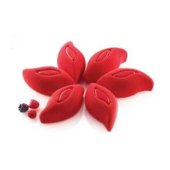 Moule Silicone 6 Pétales De Fleurs 11,4 X 5,7 Cm 120ml SilikoMart Professional